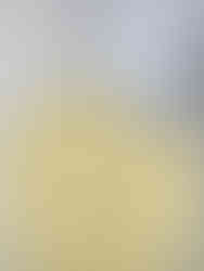 Gradually add the extra fine icing sugar and beat them on low speed until light and fluffy.