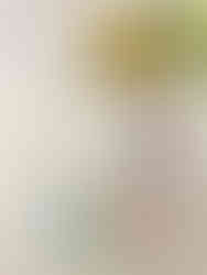 In a medium bowl, whisk together the finely ground pistachio, sifted cake flour, baking powder, baking soda, and salt until well combined. Set aside.