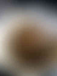 Cook the mushrooms and stirring occasionally until they release their moisture and tender.