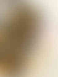 STEP BY STEP INSTRUCTIONS FOR THE CRUST