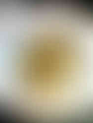 STEP BY STEP INSTRUCTIONS FOR THE CRUST