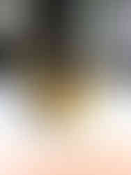 STEP BY STEP INSTRUCTIONS FOR THE CRUST