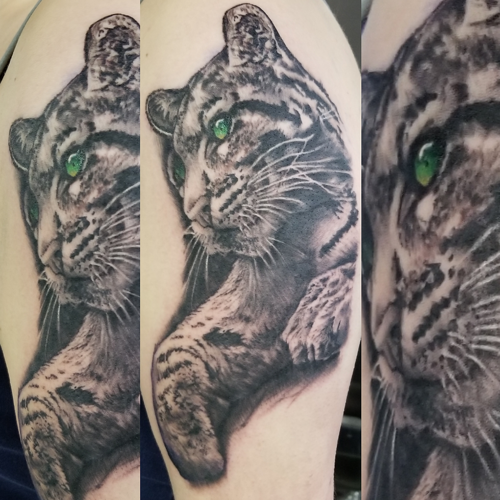 Leopard