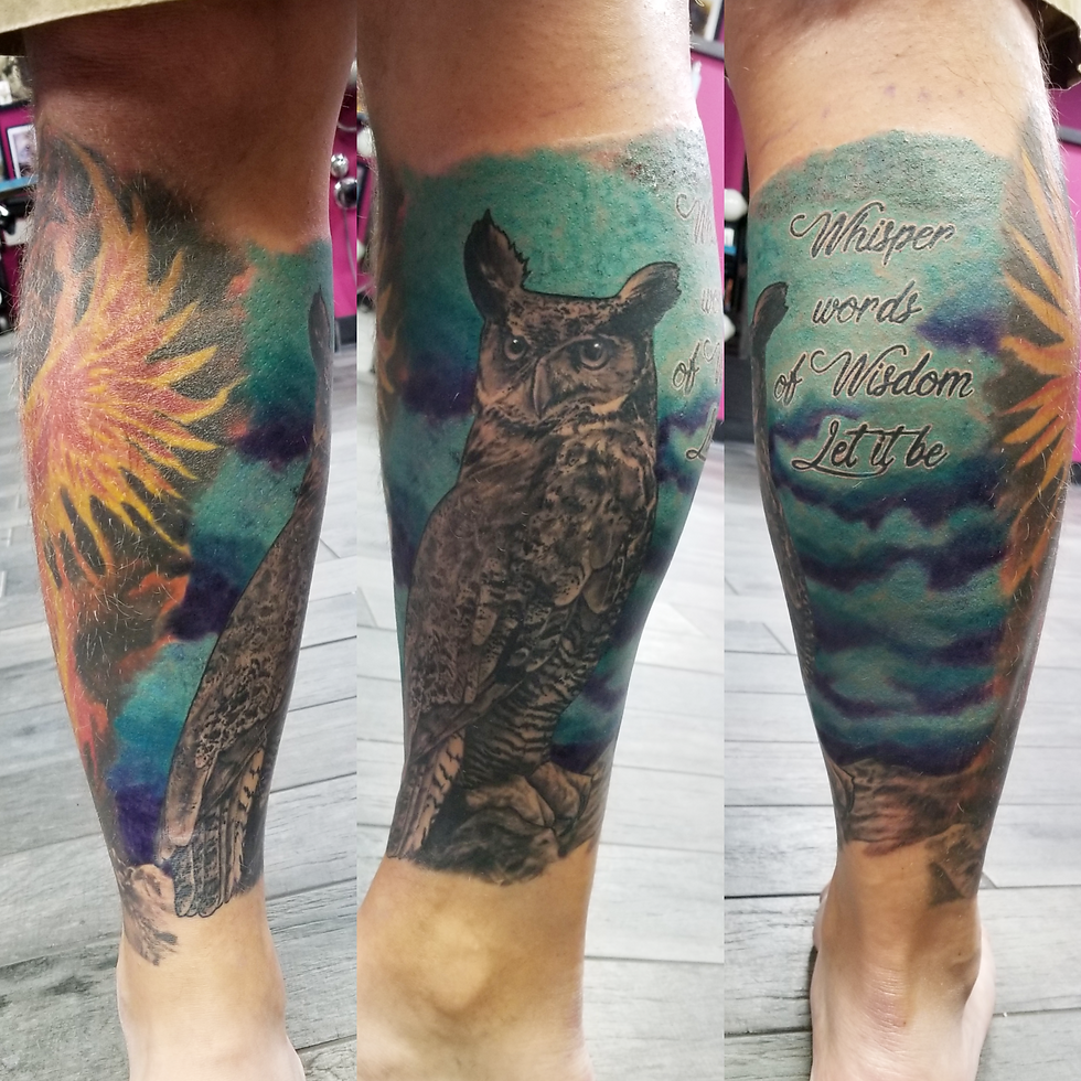 Owl and Phoenix