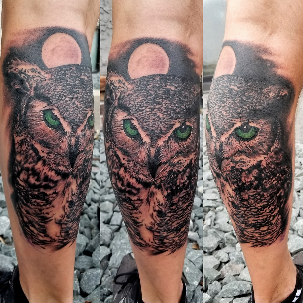Owl