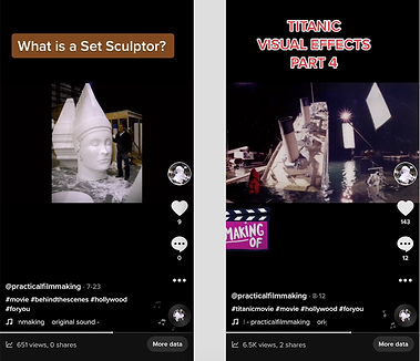 Tik tok sample for PFM site.png