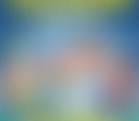 Rozdanie nagród "Odblaskowa Szkoła"