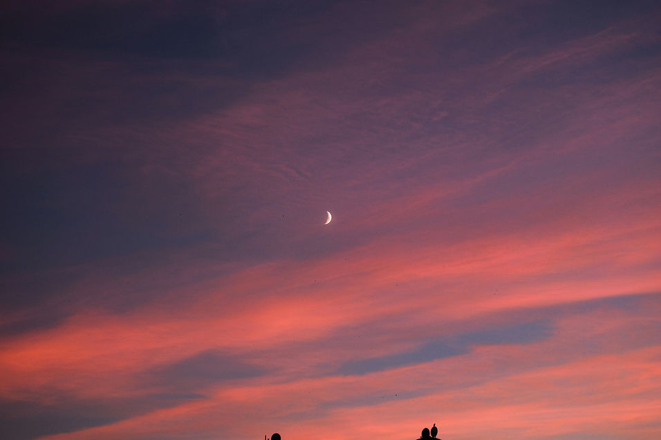 efe-kekikciler-OvHr-dvo5wQ-unsplash.jpg