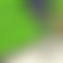 Dentro il Franchising: la testimonianza di Vittorio Savarese