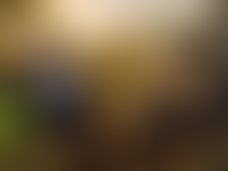 África sostenible: entre la urgencia y la oportunidad