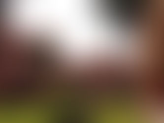 AI Trainer for Engineering Colleges