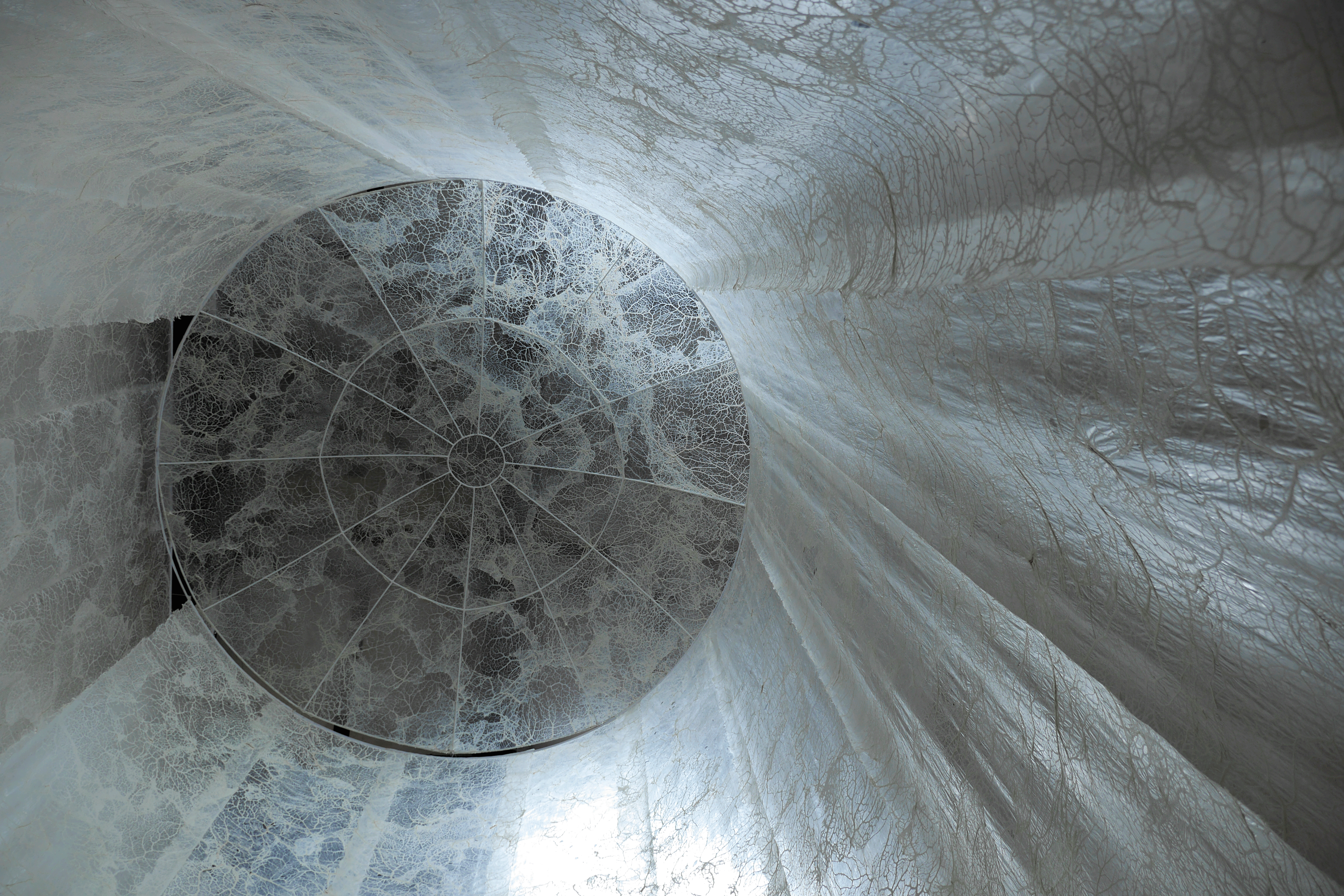 FBA-Elpida-Still-29.gif