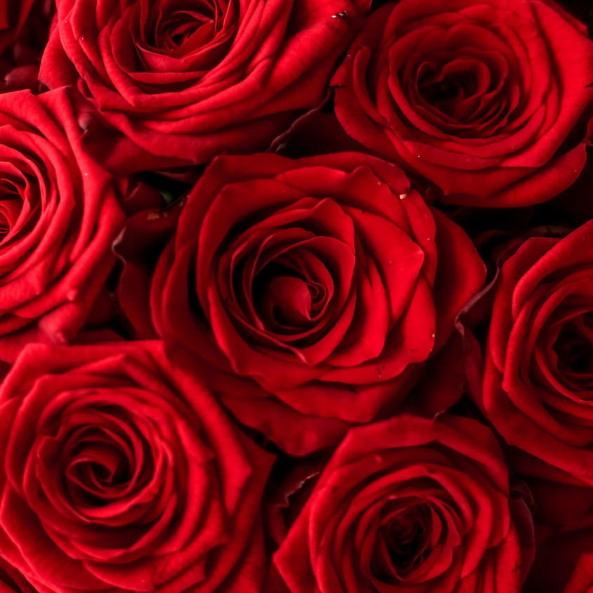Woodland Goddess Release Valentine's Weekend (1)