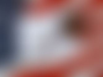 USCIS Legal Visa