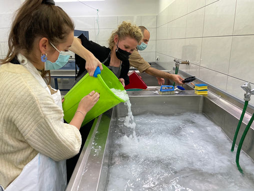 franziskaleischker-fideslinien-students-workshop-eu4art-dresden-university-of-fine-arts-workshop-impact-sustainability-renewable-materials-new-materials-innovative-teaching-innovation-workshop-programs-community-paper-projects-beginner-courses-project-management-hand-papermaking-workshops-diy-initiatives-creative-projects-team-coaching-change-management-performance-optimization-innovation-management-process-optimization-strategic-planning-business-development-art-advisor-art-consultant-advisory