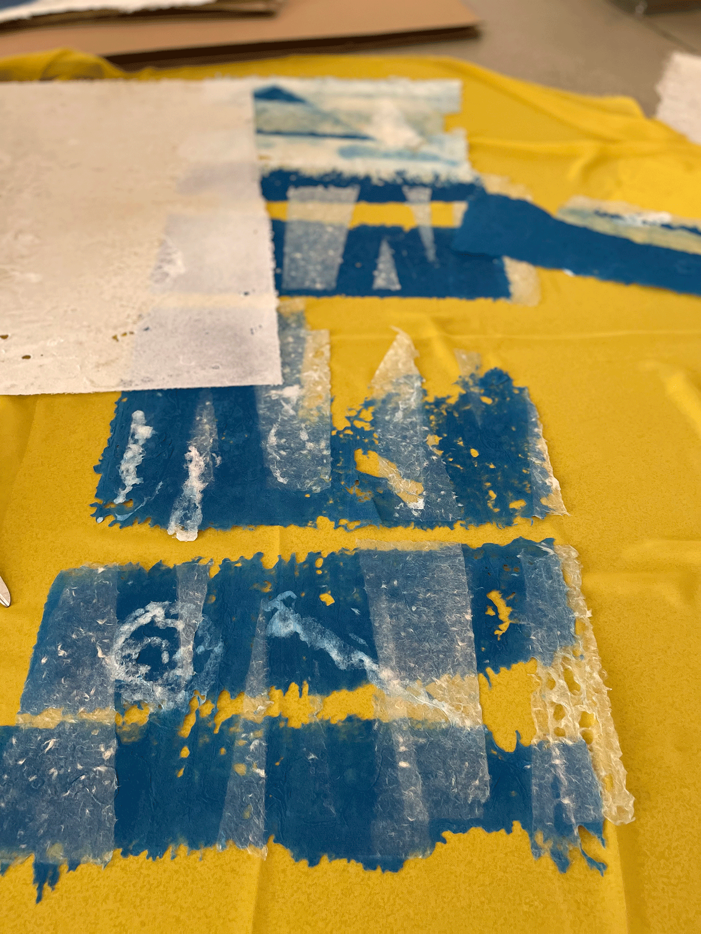 fideslinien-consulting-papermaking-workshops-2022.gif