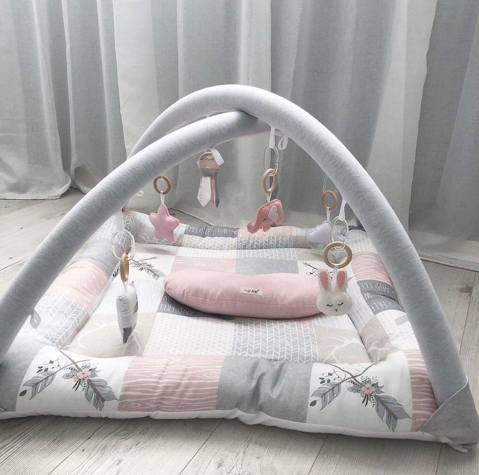 Thumbnail: Developmental Baby Nest