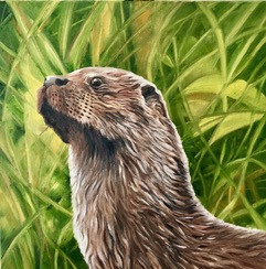 Otter.jpeg