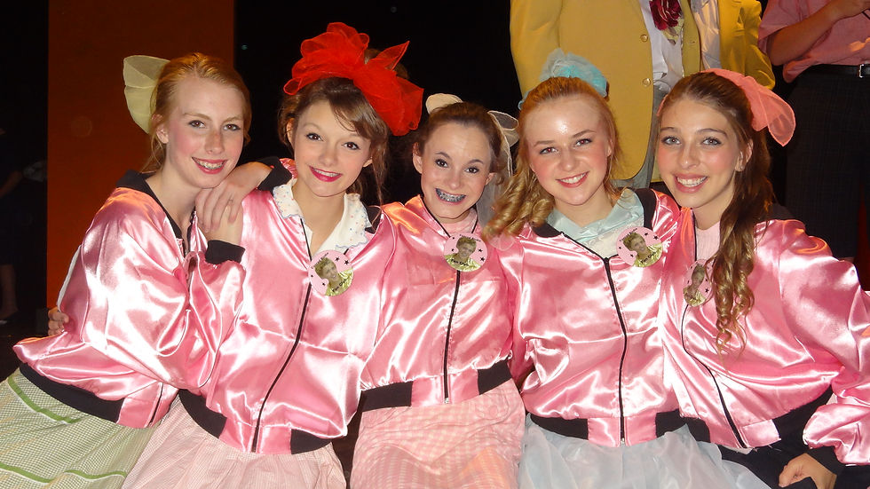 Bye Bye Birdie Summer 2013