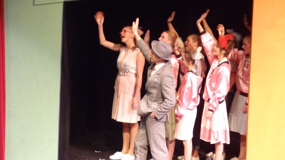 Bye Bye Birdie Summer 2013