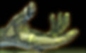 253393.jpg