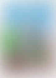 JP 10 (FEV-2025) HD copiar.jpg