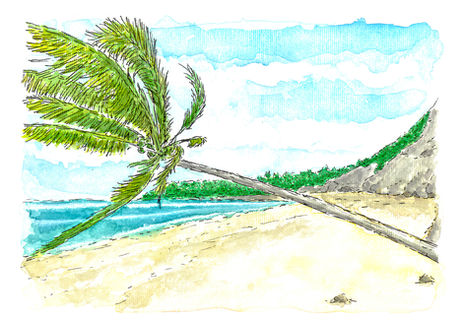 Dania-Brocardo---Desenho-final-(JUN-2025)-SITE.jpg