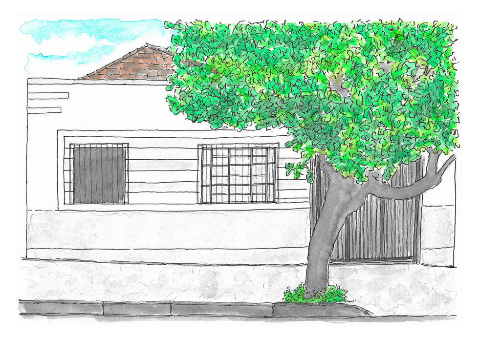 Mariana-Ramos---desenho-final-(DEZ-2025).jpg
