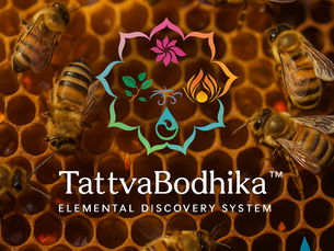 From Crisis to Leadership – Nurturing Potential with TattvaBodhika(TM)