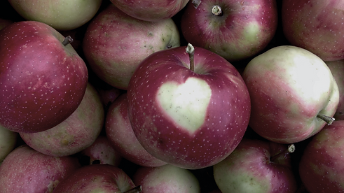 forksapple.png