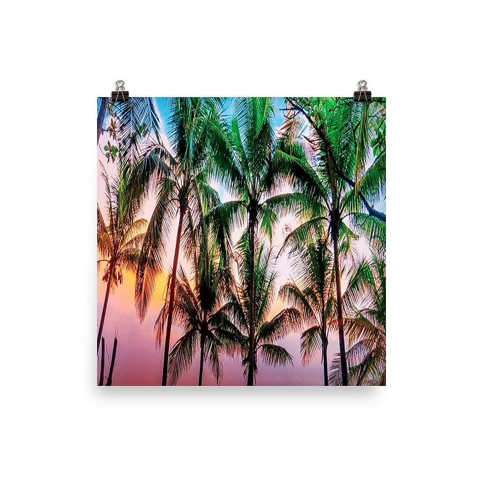 Thumbnail: Palm Trees Poster