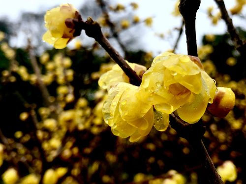 DAY TRIP: Getaway to Wuxi 