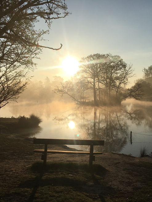 Dawn - Chris Norton.jpg