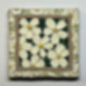 thumbnail_IMG_8833 - final primroses.jpg