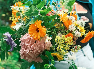 Thistle and Moonlace.jpg