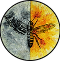 Earthfire Logo.png