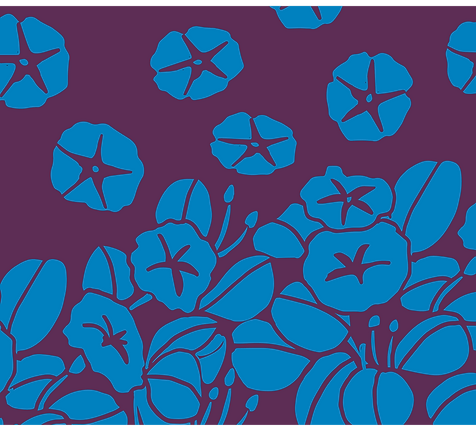 Ka Nohona Pili Kai.png
