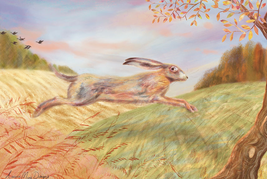 Hare series
