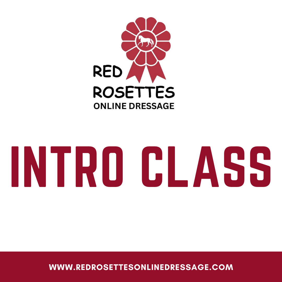Intro Standard Class