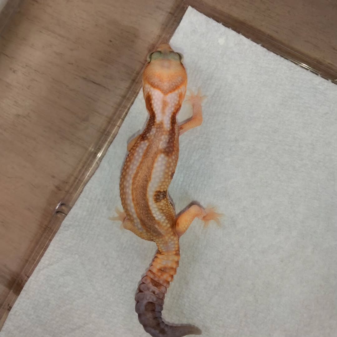 そろそろｯ💦