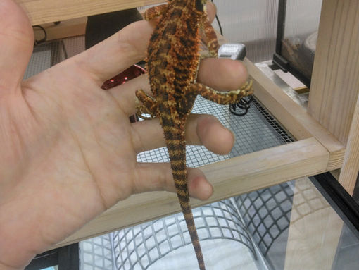 なっ……マジかっ💥😨