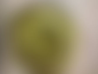 秋の替え歌🎵🎶