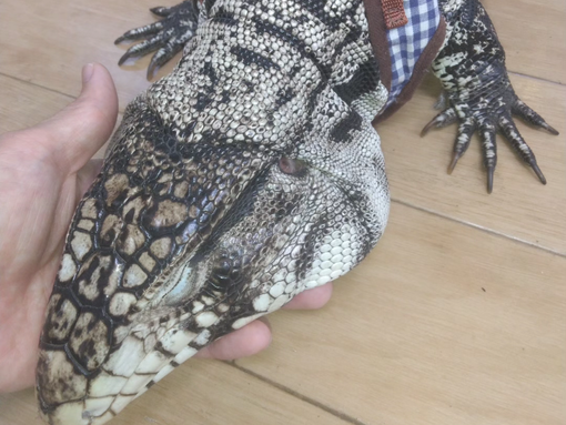 たまたま何だよね💦