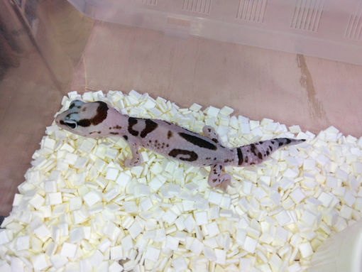 んーー、マジか😓💦