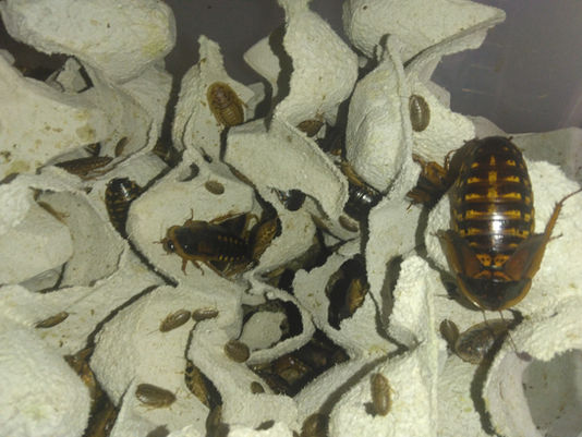 辞めて新しく!!!