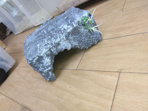 オリジナル商品のご紹介💦