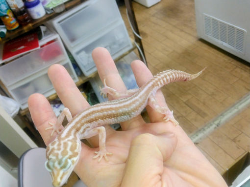 いつも…ちと、すいません