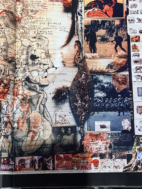 Peter Beard - The Sphere Gallery.HEIC