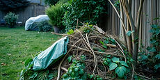 Yard waste.jpg
