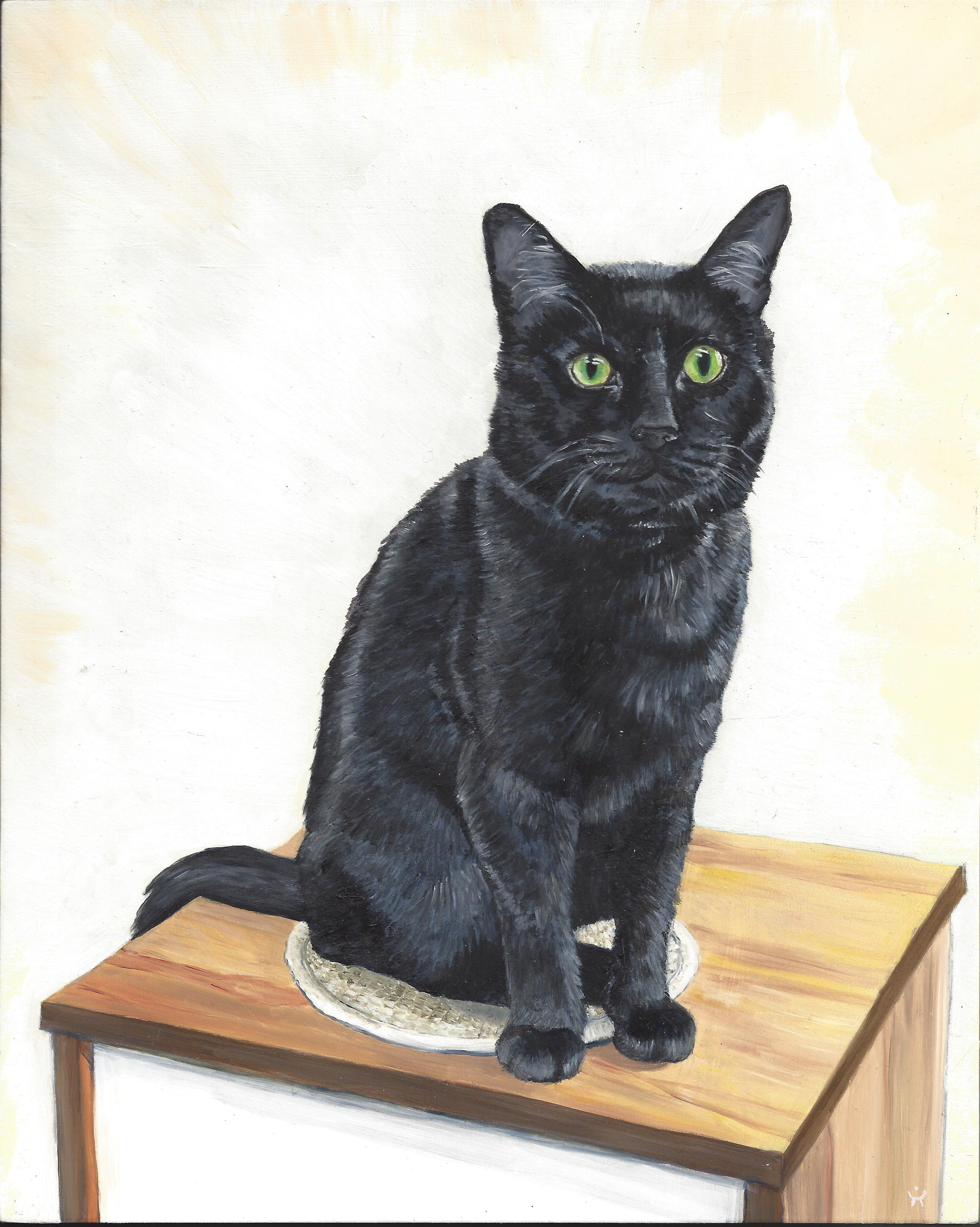 Shelter Pet Series: Black Cat, Tito (Original)